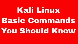 Kali Linux Quick Start Guide - Basic Commands You Should Know