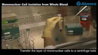 Mononuclear Cell Isolation from Whole Blood
