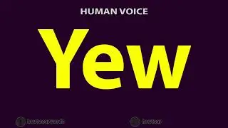 How To Pronounce Yew