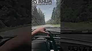 15 июня 2024 г.