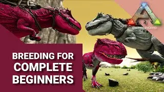 BREEDING for COMPLETE BEGINNERS | ARK: Survival Evolved