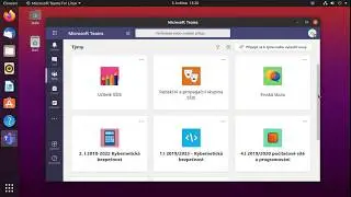 MS Teams - Linux