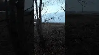 Глаша заработала.