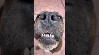 ¿Quién se atreve a besar?
