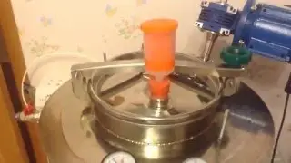 Зерновой гречишный полугар. Часть 2. Брожение.