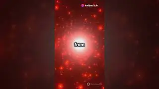 The Largest Sun Ever Discovered