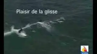 Les Sables d'Olonne, côté Mer