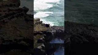 https://onerpm.link/845900365622 #chepinasound