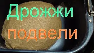 Дрожжи подвели