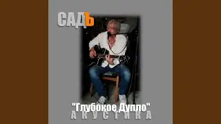 Вася (Акустика)