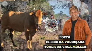 Poeta Cheiro da Vaquejada - Feat: Feat: TOADA DA VACA MOLECA