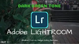 Tutorial Edit Foto Dengan Lightroom di Android Dark Green Tone