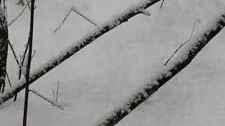 2.7. Чжуан-Цзы