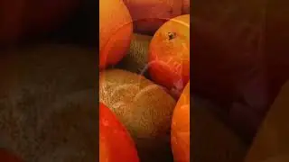 Сіз мүлде естімеген құрманың емдік қасиеті. Құрманың пайдасы.