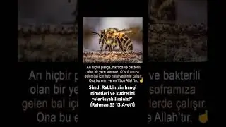 (Rahman 55 13 Ayet'i) #Kur'an'da #bilgi #tevhid #din #İslâm #dua #shorts
