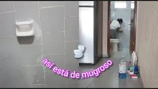 LIMPIEZA SATISFACTORIA DE UN BAÑO VIEJITO.  MOTIVACIÓN. RUTINA DE LAVADO.