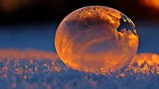 RealZona  - Winter Nights