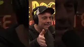 Joe Rogan And Bert Speak On Chris Rock Ruthless Special Targeting Will Smith