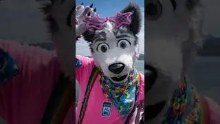 Este Furro EXPUSO a Kero The Wolf 🤯☠️ | KaiserWolf