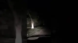 💤💤💤💤деревня в 🌙 ночи