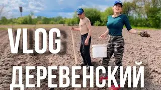 Как мы картошку сажали, ИЖи доставали и утят гусю показывали