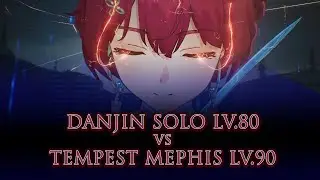 [ Wuthering Waves ] Danjin Solo Lv.80 VS Tempest Mephis Lv.90 - No damage.