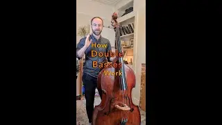 How Double Basses Work