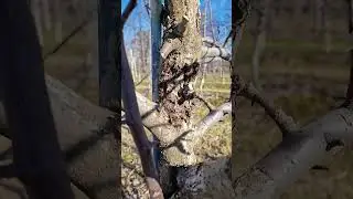 Naturą zawsze sobie poradzi :)