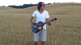 Артур Михайлов - Турничок (Хамерман Знищує Віруси - cover)