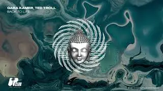 Gaba Kamer, Ted Troll - Back To Life