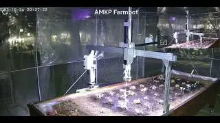 AMKP Farmbot 24/7 🌿😎🌱