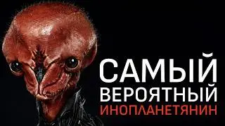 Самое точное описание, КАК ВЫГЛЯДЯТ ОНИ