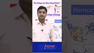 Why Octopus has Blue Coloured Blood?