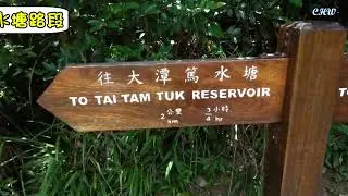 紫羅蘭徑往大潭中水塘