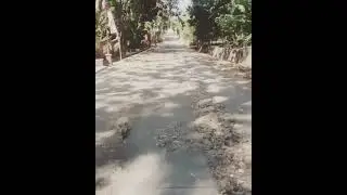menikmati kesejukan alam