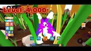 Reaching level 4,000 in little world roblox