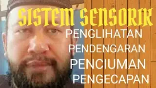 Sistem Sensorik 2 | indra penglihatan, Pendengaran, Penciuman, Pengecapan
