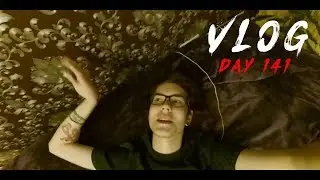 VLOG [Day 141]: ПОСЛЕДНИЙ ВЛОГ 2017