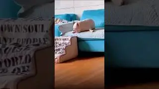 🌞 ДОБРОЕ УТРО 🌞