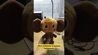 Самая любимая игрушка ЧЕБУРАШКА #shorts #Чебурашка