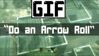 GIF 1 - "Do an Arrow Roll" (Video Game Fun)