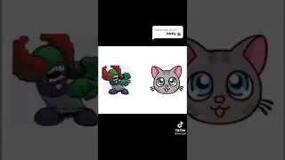 FNF 