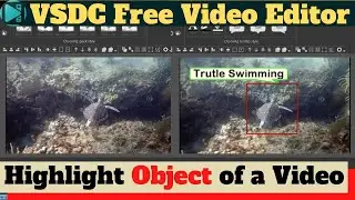 🔥How to Highlight object in a video🔥| VSDC Free Video Editor Tutorial | Video Editing For Beginners
