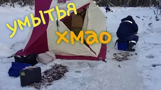 ведро рыбы с одной лунки. большая умытья. хмао