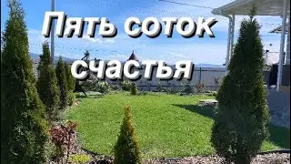 БОЛЬШОЙ обзор САДА / Новые растения/ Апрель 2024/ Как все разместила/Переезд на юг / Life in Russia