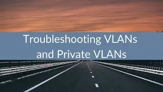 Troubleshooting VLANs and Private VLANs
