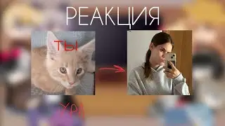 Реакция Смешариков на Т/и как ???{se1ep3/4}/Gacha club/~Elll