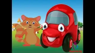 Rakun Kunkun Hikayesi