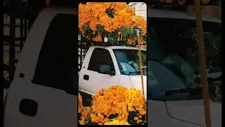 This Photographer Is Obsessed With Flowers