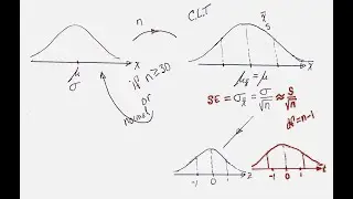 Three-Distribution Diagram for One-Sample Means